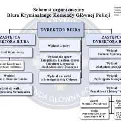 Schemat Biura Kryminalnego Policji: zajmuje się walką z handlem ludźmi, przestępczością narkotykową, cyfrową, poszukiwaniem osób i identyfikacją.