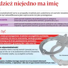 Kajdanki symbolizują kradzież szczególnie zuchwałą, gdzie wartość łupu nie ma znaczenia, a kary są surowe.