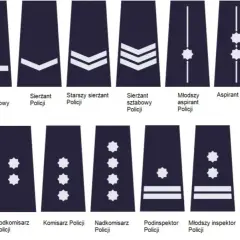 Awanse w policji co ile lat? Szczegółowy terminarz stopni służbowych
