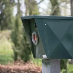 Ile czasu idzie mandat z fotoradaru? Sprawdź, zanim będzie za późno