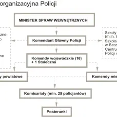 Czym jest policja jako organ administracji publicznej - analiza statusu prawnego