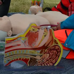 Manekin do nauki CPR, przekrój anatomiczny głowy i klatki piersiowej, maska tlenowa i torby medyczne.