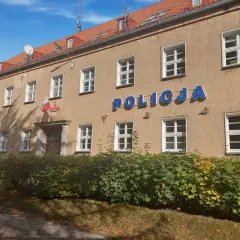 Poznaj prawdziwe powody dlaczego ludzie idą do policji - fakty i opinie