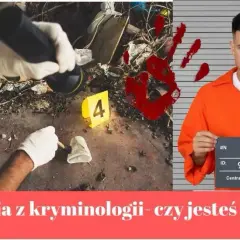Kryminalistyka gdzie studiować? Najlepsze uczelnie i perspektywy zawodowe w Polsce