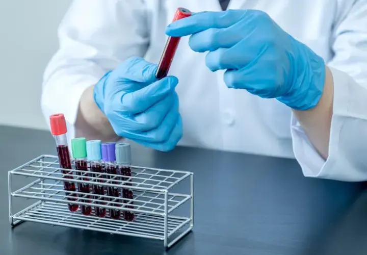 Test z kursu krwiodawstwa: Jak go zdać? Kluczowe zagadnienia