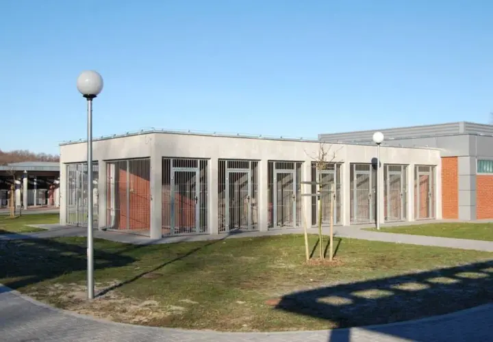 Zakład Kynologii Policyjnej: Co oferuje? Szkolenia dla psów
