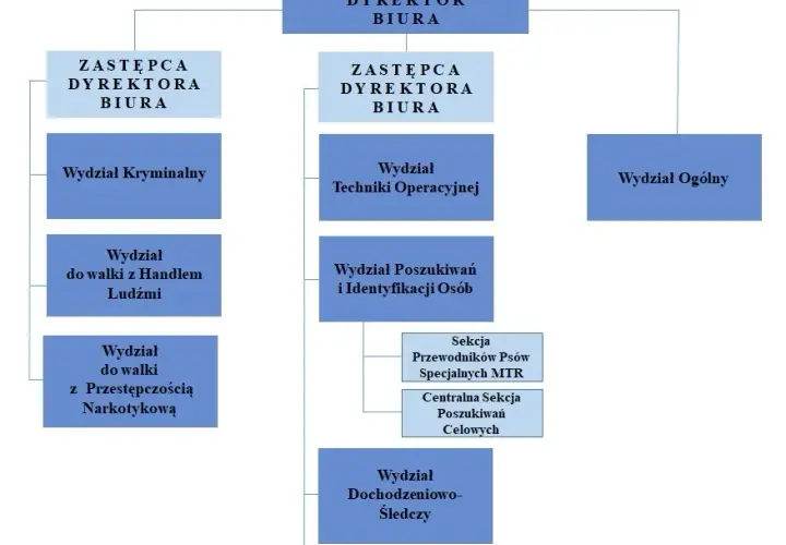 Kompletny przewodnik po wydziałach w policji: struktura i zadania komórek