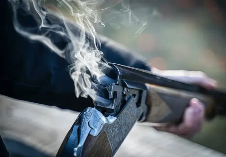 Jaką broń można legalnie posiadać na pozwolenie myśliwskie? Wszystko, co musisz wiedzieć