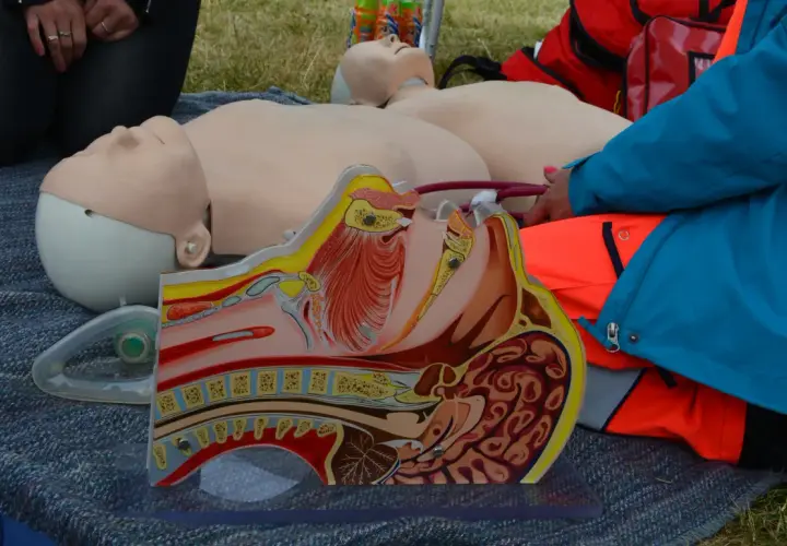 Manekin do nauki CPR, przekrój anatomiczny głowy i klatki piersiowej, maska tlenowa i torby medyczne.