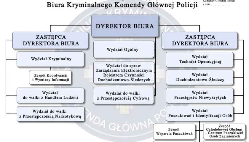 Schemat Biura Kryminalnego Policji: zajmuje się walką z handlem ludźmi, przestępczością narkotykową, cyfrową, poszukiwaniem osób i identyfikacją.