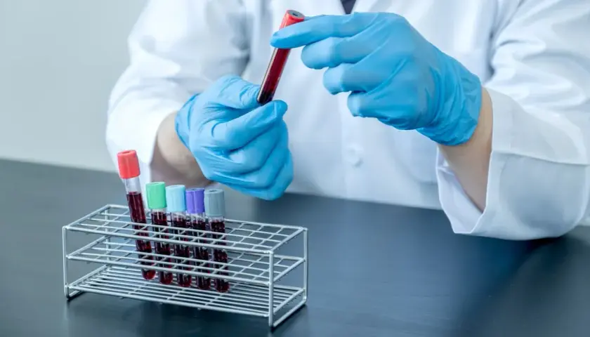 Test z kursu krwiodawstwa: Jak go zdać? Kluczowe zagadnienia