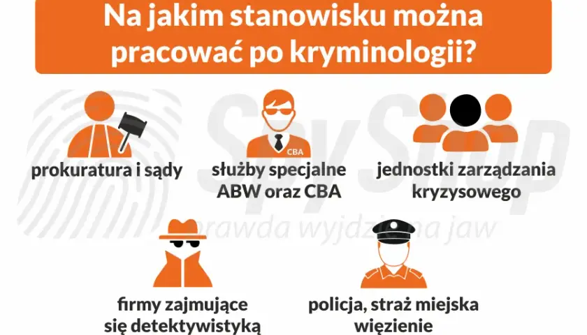 Gdzie można pracować po kryminalistyce? Sprawdź najlepsze ścieżki kariery i miejsca pracy