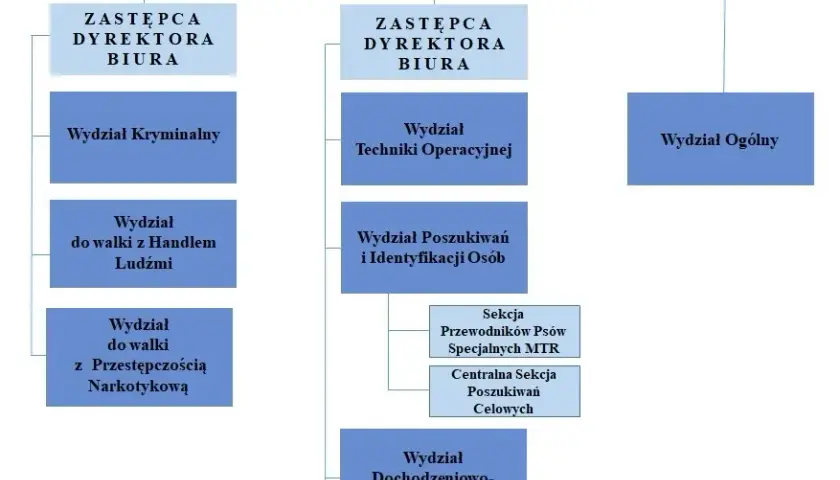 Kompletny przewodnik po wydziałach w policji: struktura i zadania komórek