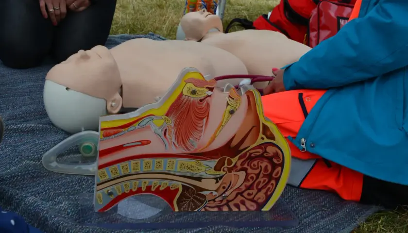 Manekin do nauki CPR, przekrój anatomiczny głowy i klatki piersiowej, maska tlenowa i torby medyczne.