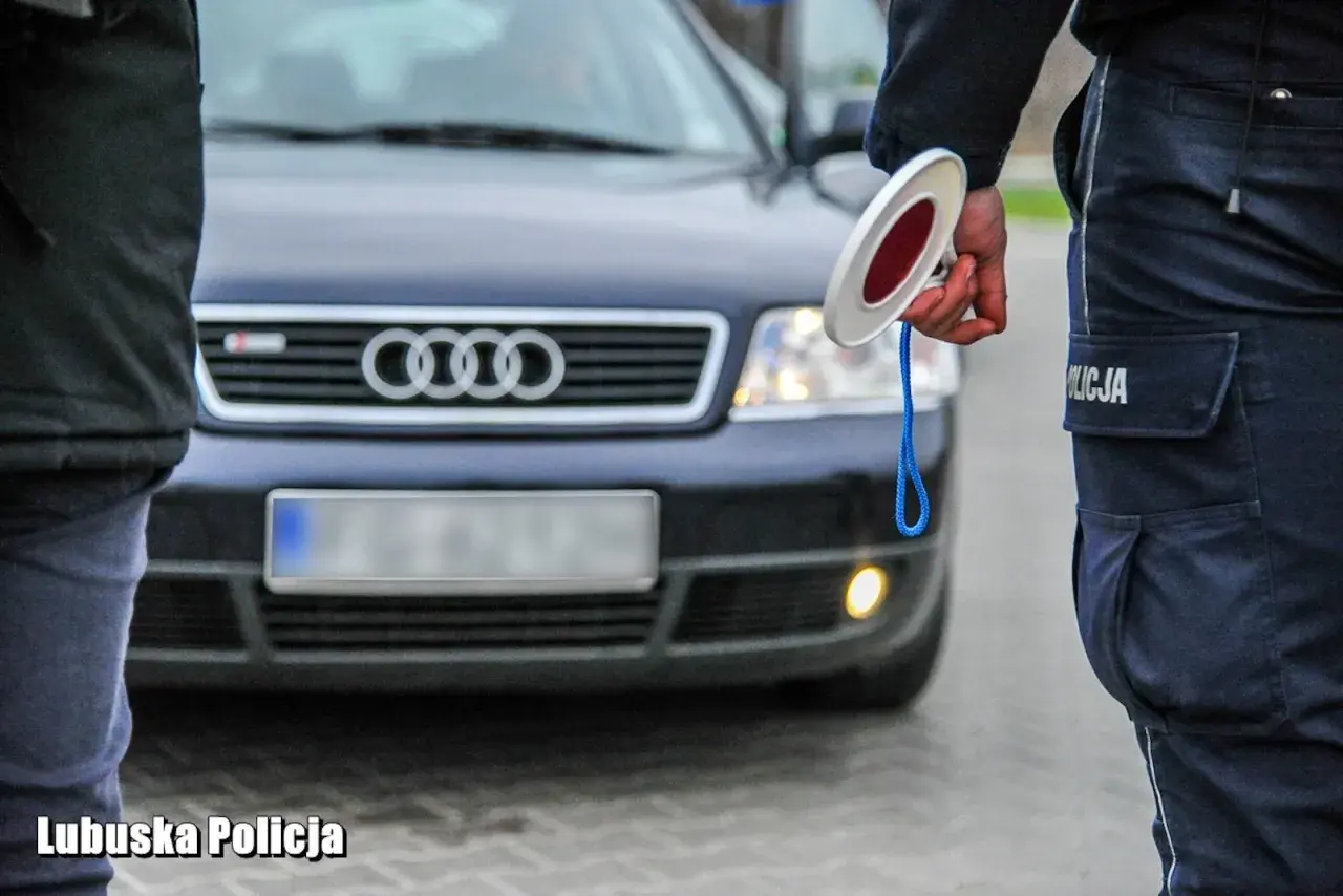 Policjant z Lubuskiej Policji zatrzymuje ruch, trzymając znak stop. Przed nim stoi ciemny samochód Audi.