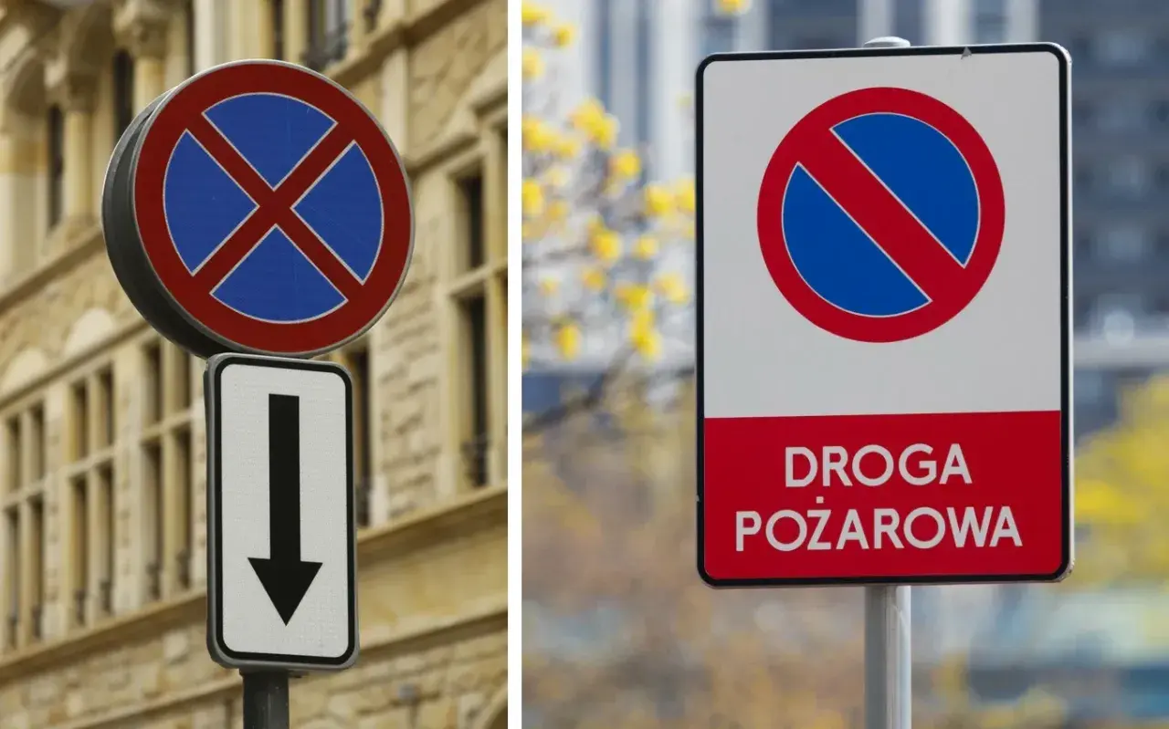 Dwa znaki: okrągły z niebieskim polem i czerwonym krzyżem (zakaz postoju) ze strzałką w dół oraz prostokątny z napisem "DROGA POŻAROWA" i symbolem zakazu zatrzymywania.
