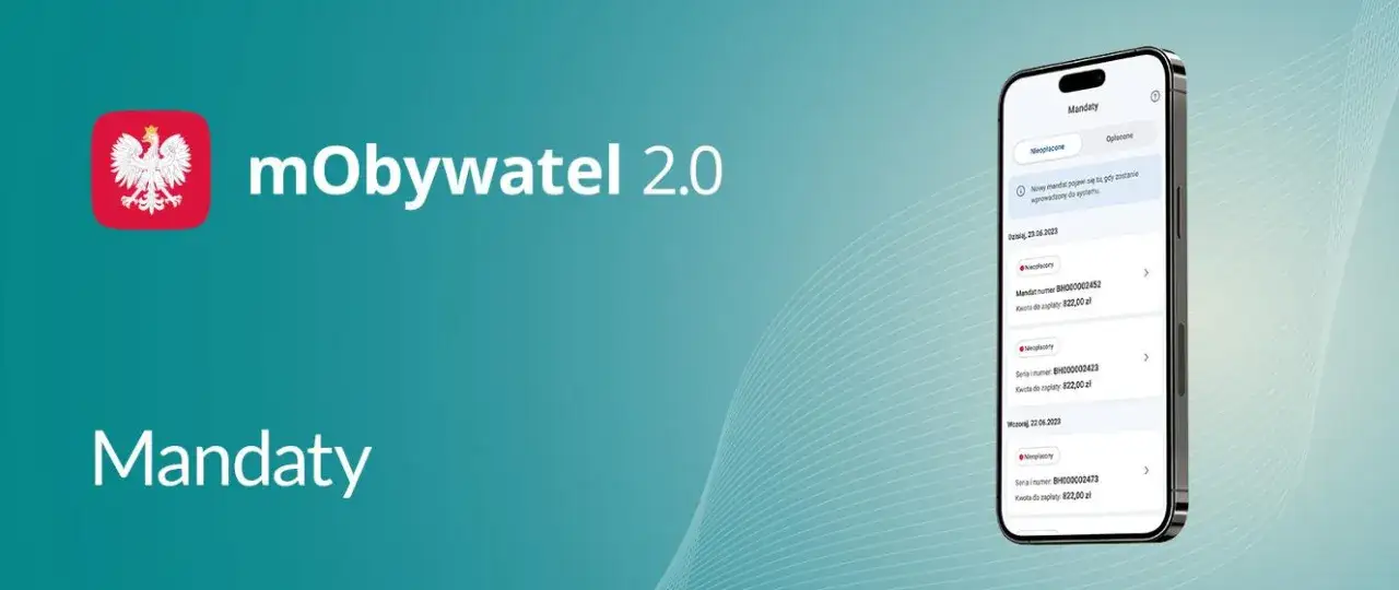 Zdjęcie Jak sprawdzić wszystkie mandaty i uniknąć nieprzyjemnych konsekwencji